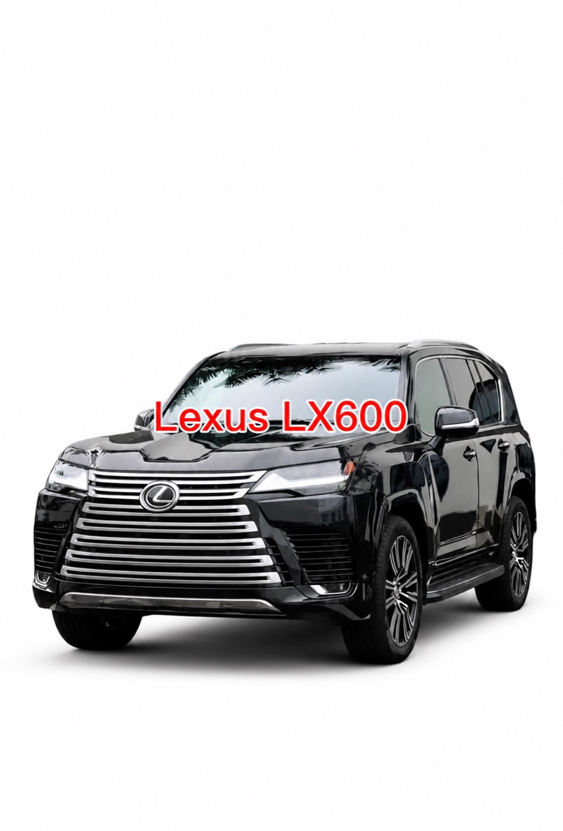 Lexus LX600 Chassis-lift front and rear shocks